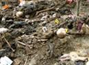 Erst Anfang November hatten Gerichtsmediziner die sterblichen Überreste von 430 Menschen aus einem Massengrab in der Region Prijedor geborgen.