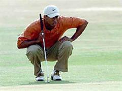 Der echte Tiger Woods.