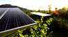 Neuer Katalysator dient als Solarenergie-Batterie