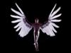 «Icarus» und «Diamond Illusion» - zwei Weltpremieren in Zürich